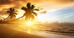 Palmen-Meer-und-Sand—die-schönsten-Strände-der-Welt