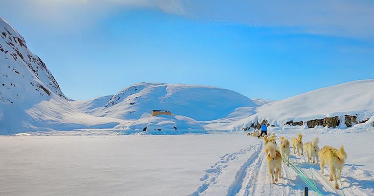 Abenteuerurlaub im Schnee – Willkommen in Grönland!